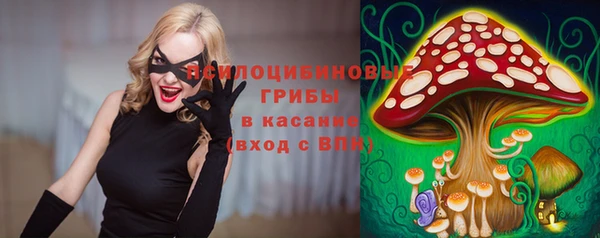 герыч Арсеньев