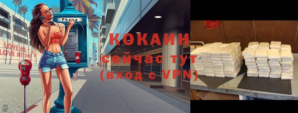 твердый Балахна
