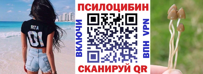 Псилоцибиновые грибы Cubensis  Саки 